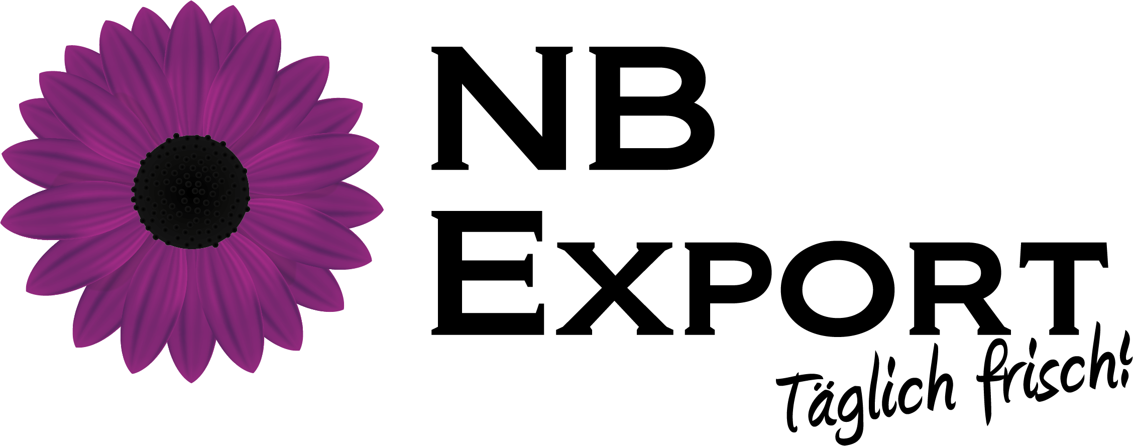 Nb Export Katwijk Rijnsburg